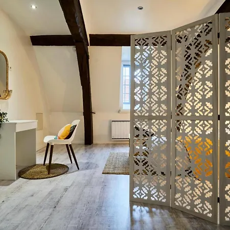 T3 Loft Moderne Grande Terrasse Centre * Douai