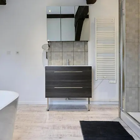 T3 Loft Moderne Grande Terrasse Centre Douai