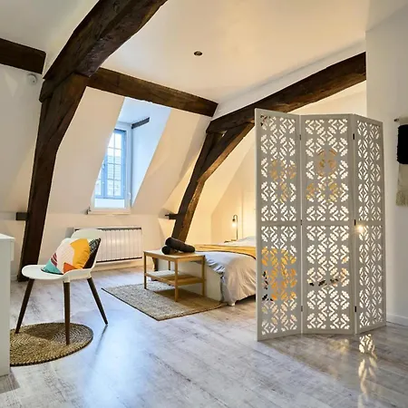 T3 Loft Moderne Grande Terrasse Centre Douai